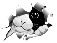cathello.gif (9181 bytes)