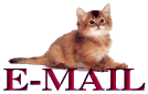 catmail2.gif (4813 bytes)