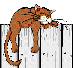 kat2.gif (9216 bytes)