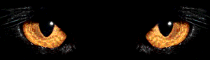 katoog.gif (21988 bytes)